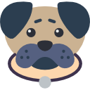 cão