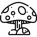 seta