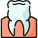 molar