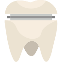 corona molar
