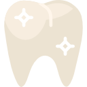 大臼歯