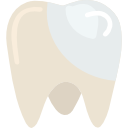 大臼歯