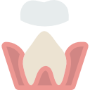 molaire