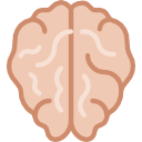 mózg