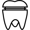 corona molare