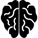 Brain