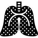 Lungs