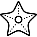 estrela do mar