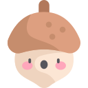 Acorn