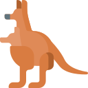 Kangaroo