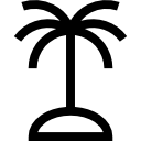 drzewo palmowe