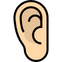 Ear