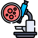 biopsia