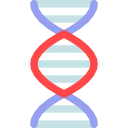 ДНК