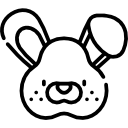 conejo