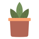 Горшечное растение
