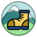 Shoes icon