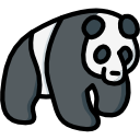 panda