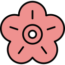 flor de ameixa
