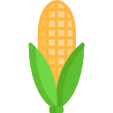 Corn