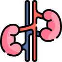 Nephroptosis