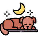 犬の睡眠
