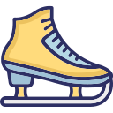 아이스 스케이트 신발