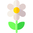 fleur