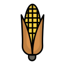 kolba kukurydzy