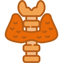 endocrinología