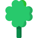 Clover