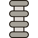 colonna vertebrale