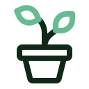 vaso para plantas