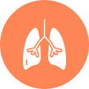 pulmones