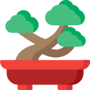 Bonsai