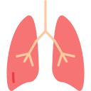 Lung