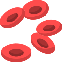 bloed