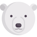orso polare