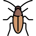 Cucaracha