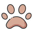 Paw