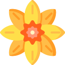 bloem