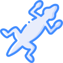 gecko