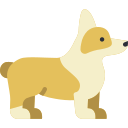 Cão