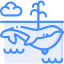 balena blu