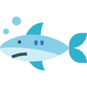 Shark