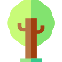 árbol