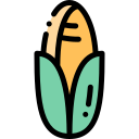 Corn