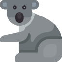 koala