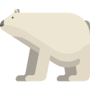 niedźwiedź polarny