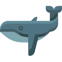 walvis